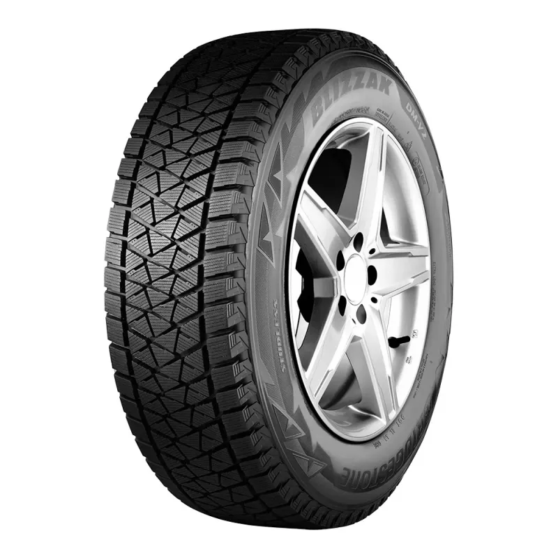 Bridgestone Blizzak DM-V2